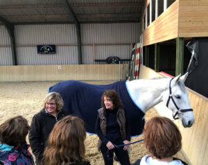 Marianne_Luesken_Paardencoaching_Maneveld_wit_paard_groep